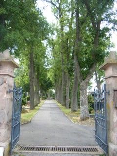 Friedhof Baumholder
